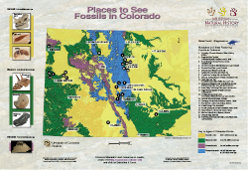 poster - Places to See Fossils in Colorado